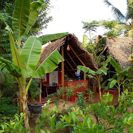 Homestay Camping Anuradhapura Dış mekan fotoğraf