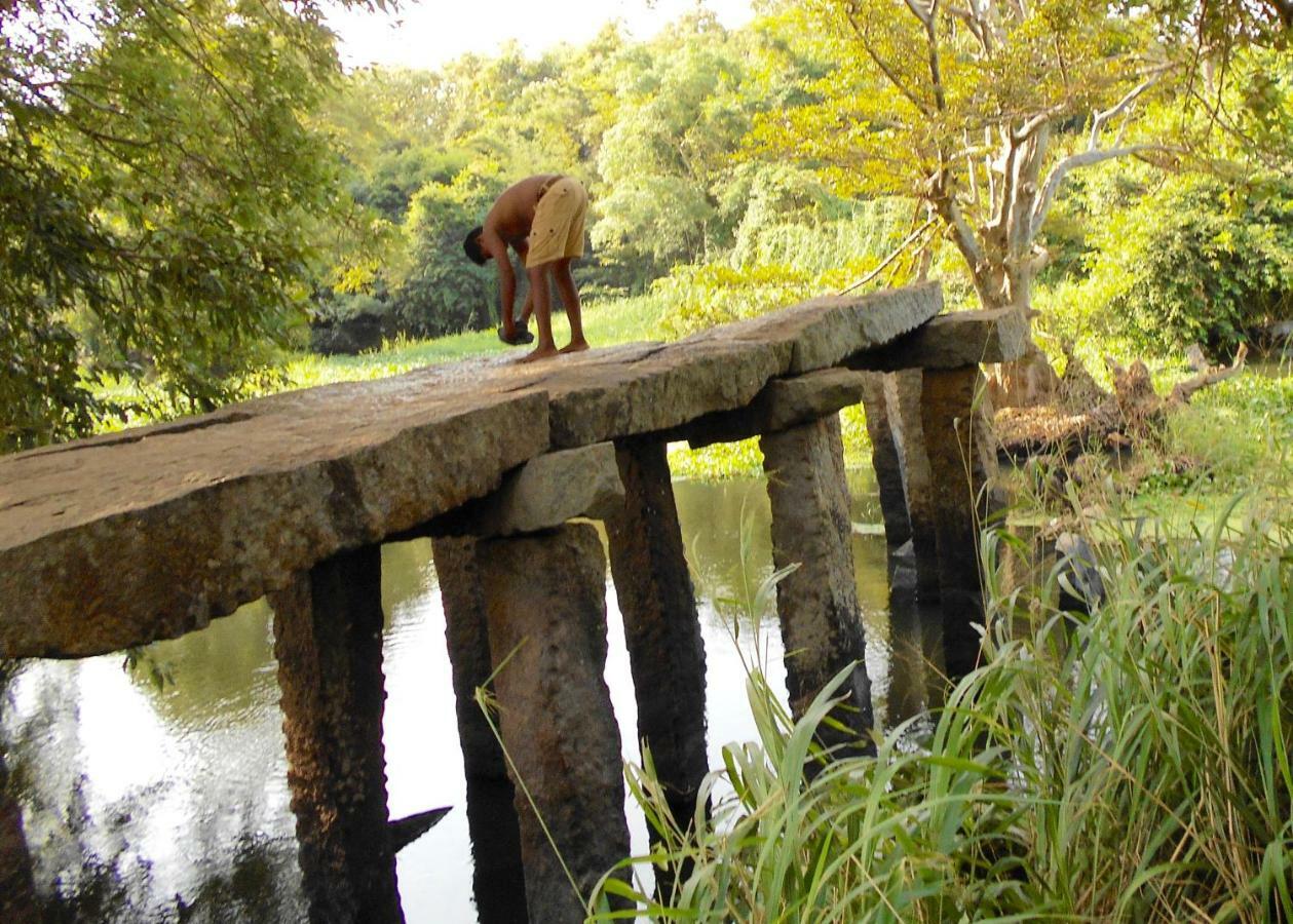 Homestay Camping Anuradhapura Dış mekan fotoğraf