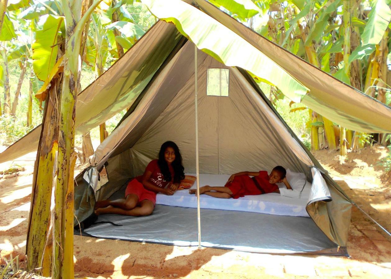 Homestay Camping Anuradhapura Dış mekan fotoğraf