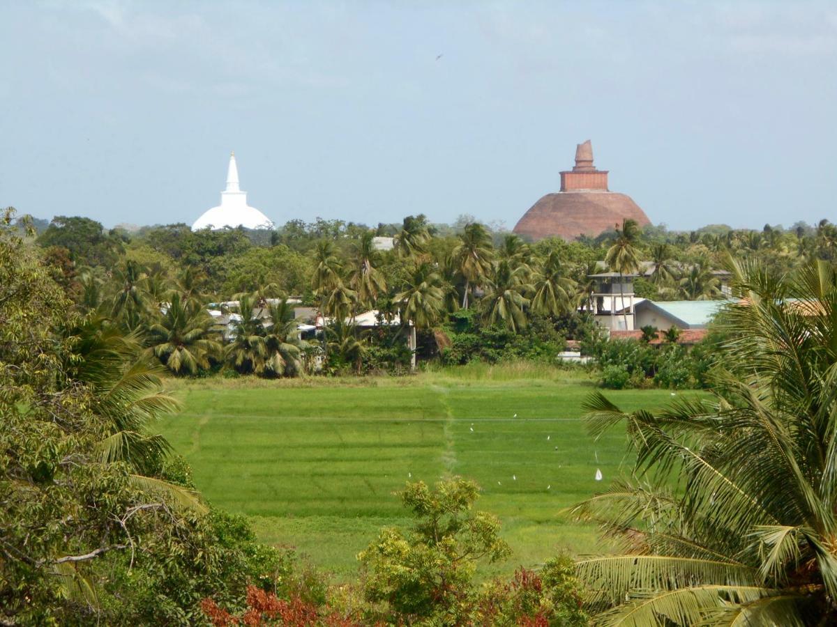 Homestay Camping Anuradhapura Dış mekan fotoğraf