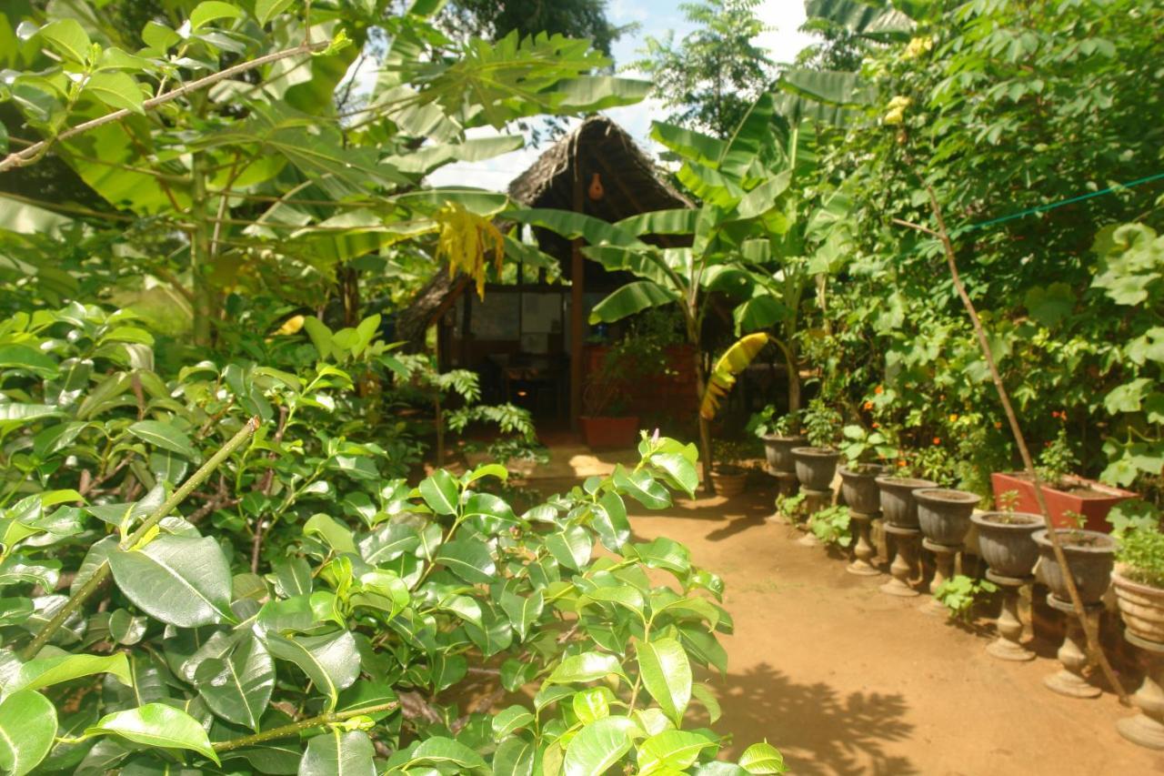 Homestay Camping Anuradhapura Dış mekan fotoğraf