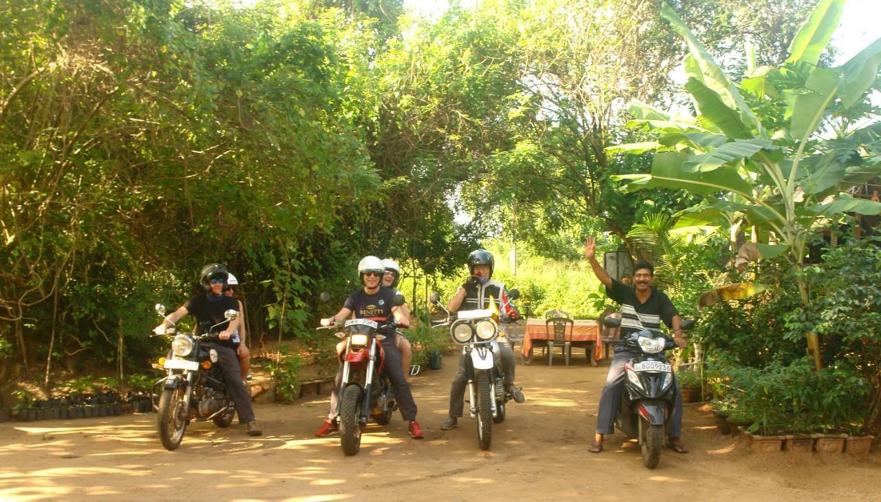 Homestay Camping Anuradhapura Dış mekan fotoğraf