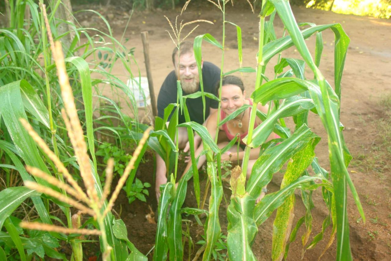 Homestay Camping Anuradhapura Dış mekan fotoğraf